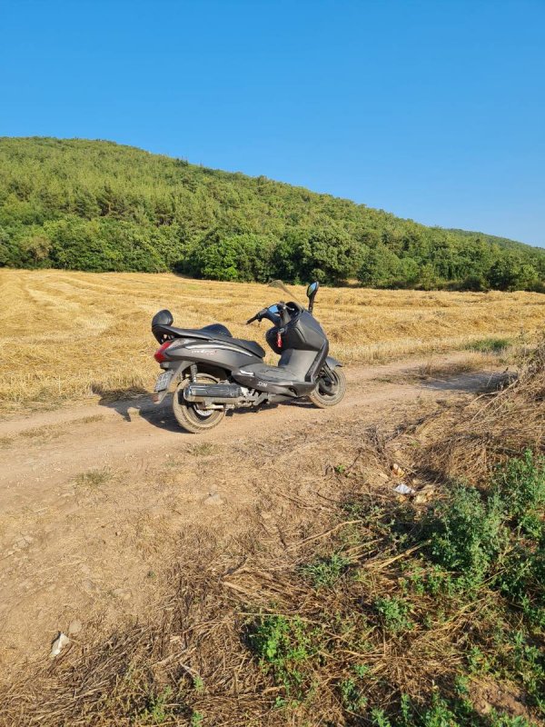 7D GAYRİMENKULDEN SATILIK  YENİŞEHİR DE TARLA