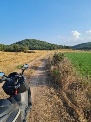 7D GAYRİMENKULDEN SATILIK  YENİŞEHİR DE TARLA