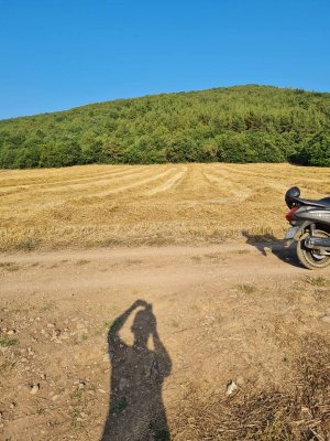 7D GAYRİMENKULDEN SATILIK  YENİŞEHİR DE TARLA