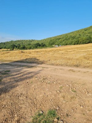 7D GAYRİMENKULDEN SATILIK  YENİŞEHİR DE TARLA