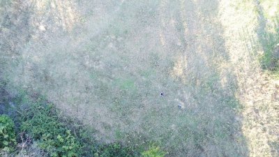 7D GAYRİMENKULDEN SATILIK  KURŞUNLU DA TARLA