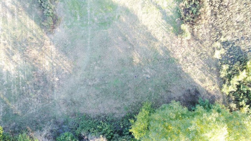 7D GAYRİMENKULDEN SATILIK  KURŞUNLU DA TARLA