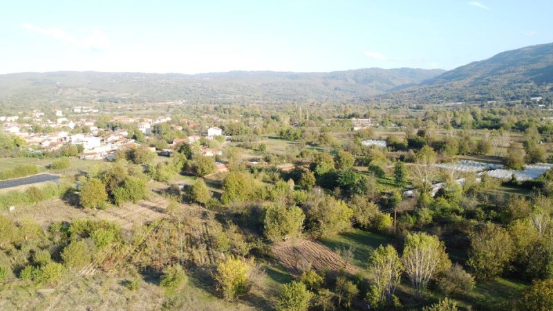 7D GAYRİMENKULDEN SATILIK  KURŞUNLU DA TARLA