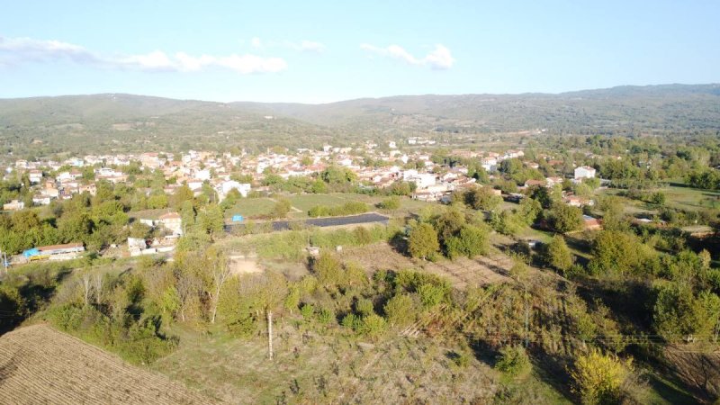 7D GAYRİMENKULDEN SATILIK  KURŞUNLU DA TARLA