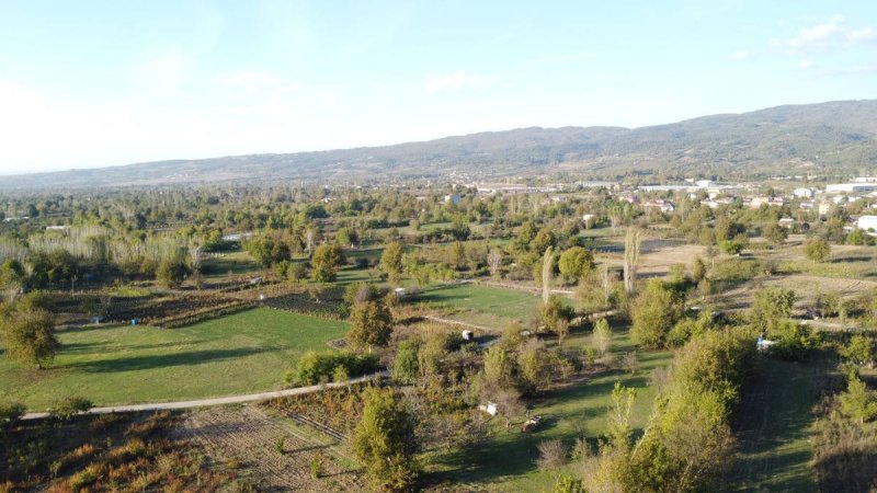 7D GAYRİMENKULDEN SATILIK  KURŞUNLU DA TARLA