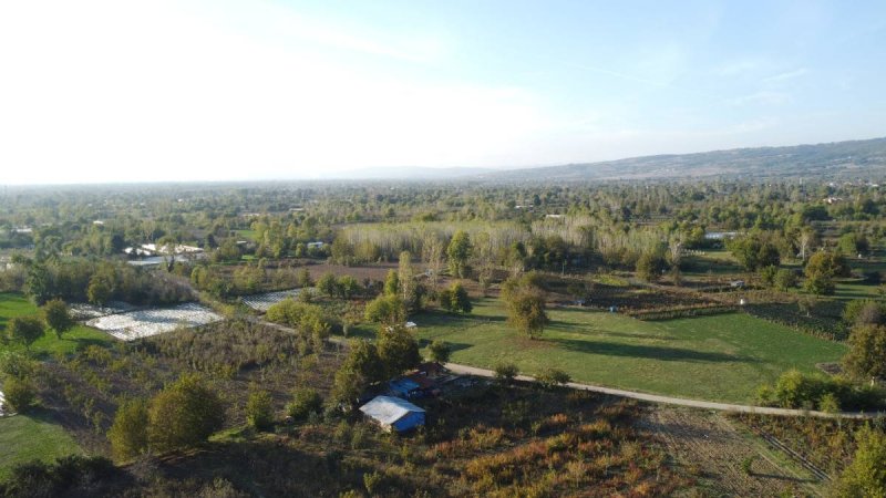 7D GAYRİMENKULDEN SATILIK  KURŞUNLU DA TARLA