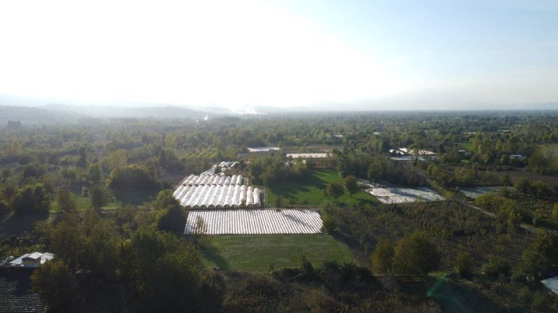 7D GAYRİMENKULDEN SATILIK  KURŞUNLU DA TARLA