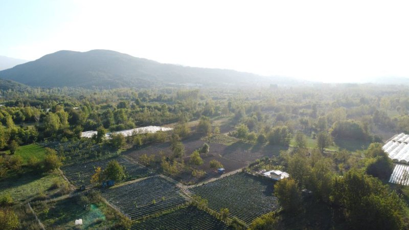 7D GAYRİMENKULDEN SATILIK  KURŞUNLU DA TARLA