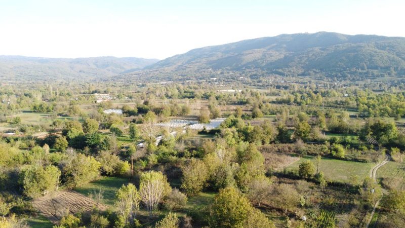 7D GAYRİMENKULDEN SATILIK  KURŞUNLU DA TARLA