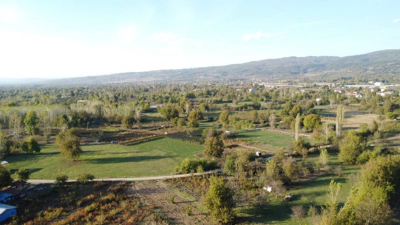 7D GAYRİMENKULDEN SATILIK  KURŞUNLU DA TARLA