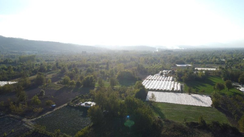 7D GAYRİMENKULDEN SATILIK  KURŞUNLU DA TARLA