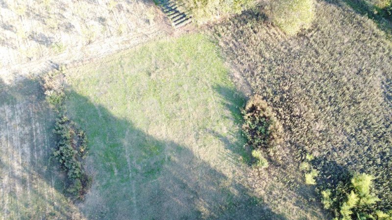 7D GAYRİMENKULDEN SATILIK  KURŞUNLU DA TARLA