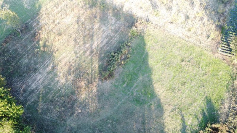 7D GAYRİMENKULDEN SATILIK  KURŞUNLU DA TARLA