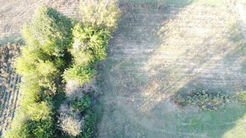 7D GAYRİMENKULDEN SATILIK  KURŞUNLU DA TARLA