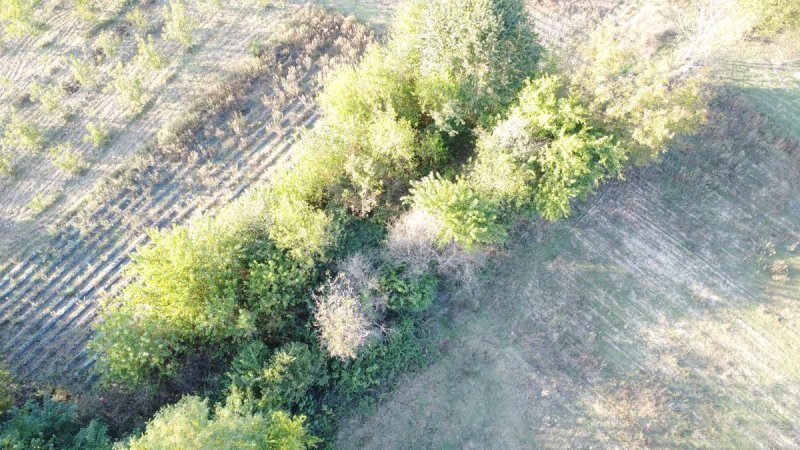 7D GAYRİMENKULDEN SATILIK  KURŞUNLU DA TARLA