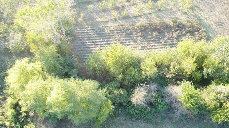 7D GAYRİMENKULDEN SATILIK  KURŞUNLU DA TARLA