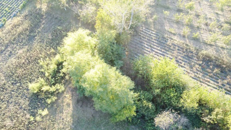 7D GAYRİMENKULDEN SATILIK  KURŞUNLU DA TARLA