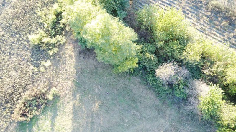 7D GAYRİMENKULDEN SATILIK  KURŞUNLU DA TARLA