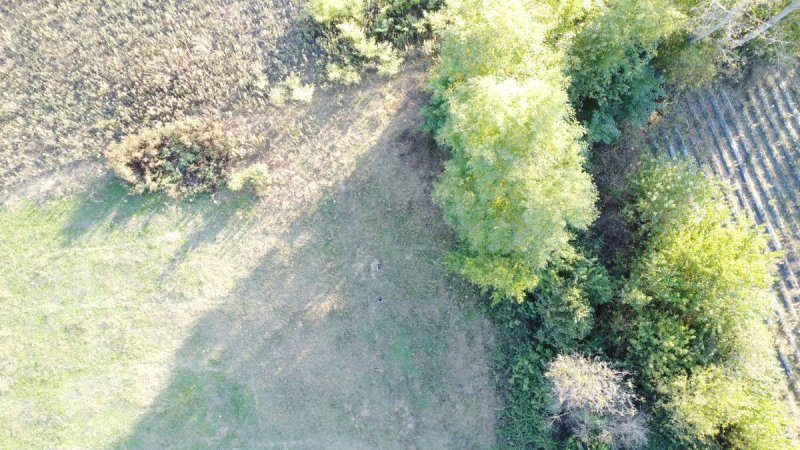 7D GAYRİMENKULDEN SATILIK  KURŞUNLU DA TARLA