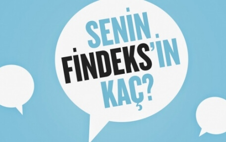 Findeks Nedir