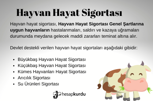 Hayvan Hayat Sigortası İnfografik