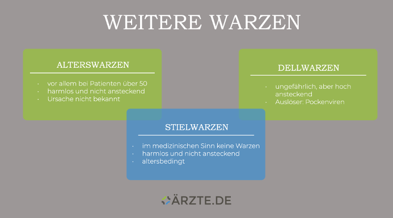 Warzenarten ohne HPV
