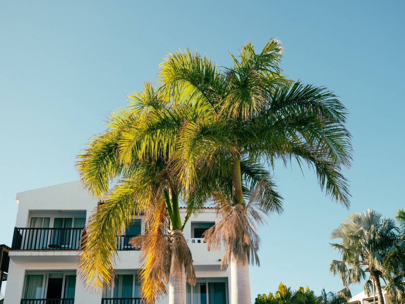 Tourism photo by Splento photographer Linus