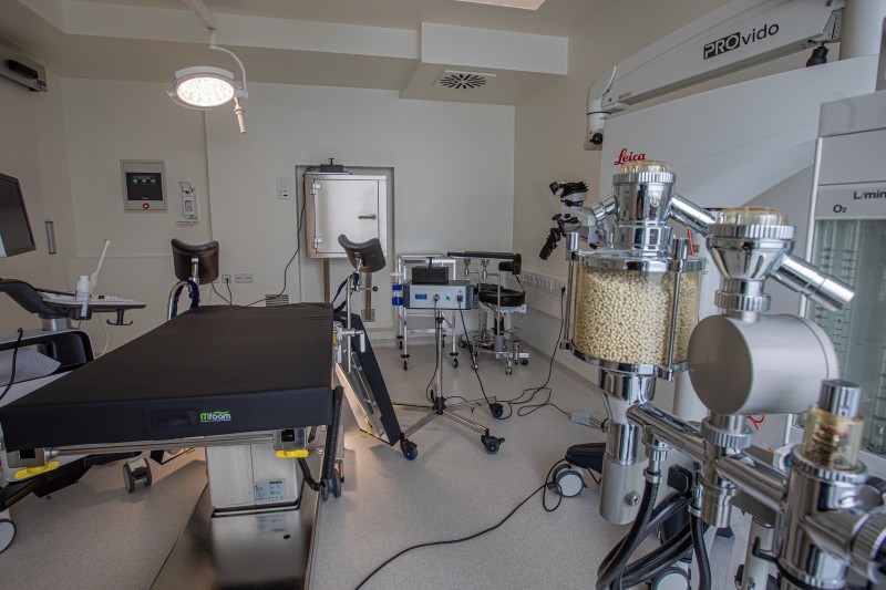 Corporate photo by Splento photographer Ekaterina