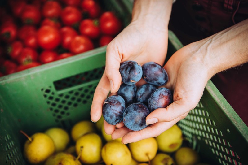 Food Photography photo by Splento photographer Ekaterina
