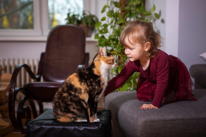 Family Photography photo by Splento photographer Ekaterina
