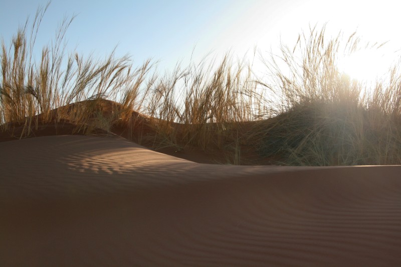 Tourism photo by Splento photographer Nicolas