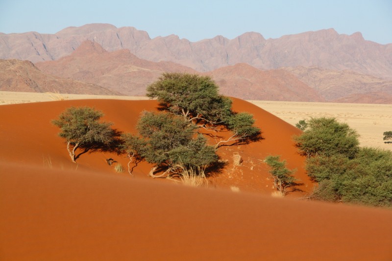 Tourism photo by Splento photographer Nicolas