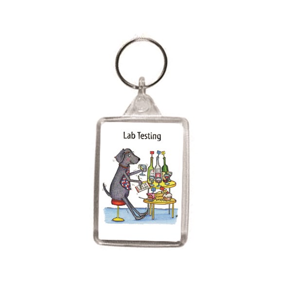 Lab Testing Key Ring