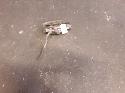 View Auto part Caliper Mercedes C Class 2018
