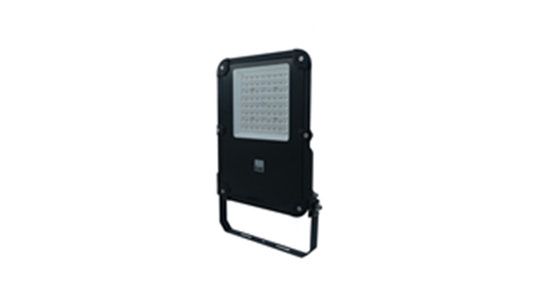 Valeria Led Projektör 50W 6500K