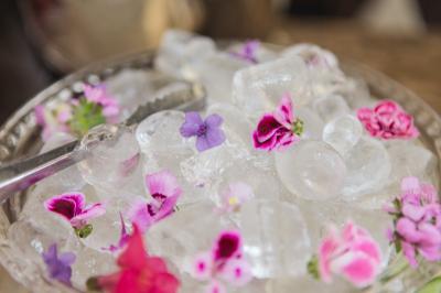 Yurt Bar