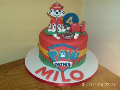 Paw Patrol Birthday Cake