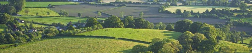 Painswick Valley