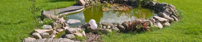 Ponds And Water Features Ponds And Water Features
