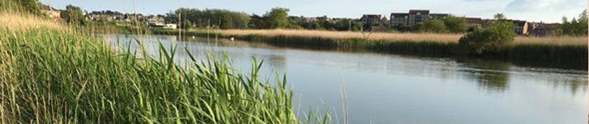 Radipole Lake RSPB Nature Reserve Radipole Lake RSPB Nature Reserve
