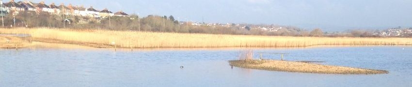 Weymouth Wetlands Weymouth Wetlands