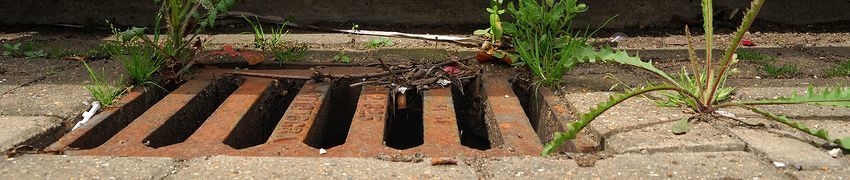 What causes a drain blockage What causes a drain blockage