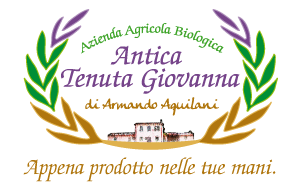 Agriturismo Casalino dei francesi Agriturismo Casalino dei francesi