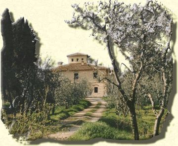 Agriturismo biologico I Moricci Agriturismo biologico I Moricci