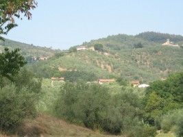 Antico Colle Fiorito Antico Colle Fiorito