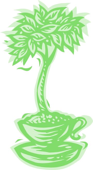 erboristeria linneo erboristeria linneo