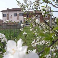 B&B Il Girasole B&B Il Girasole