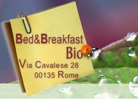 B&B Bio B&B Bio