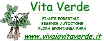 Vita Verde di Gallerati Valerio Vita Verde di Gallerati Valerio