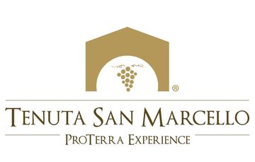 SAF SAN MARCELLO SS SAF SAN MARCELLO SS